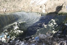  کشاورزی آلوده به فاضلاب و نبود دهیاری متمرکز عمده ترین مشکل روستا/فرزادی پور:آلودگی مورد نظر ناشی از روان آبهای سطحی است!!/ بروز برخی مشکلات اجتماعی سبب اداره روستا توسط شورای بخش گردیده است.