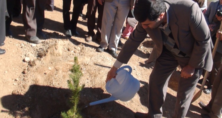 مراسم جشن درختکاری در هرسین برگزارشد/یاور محمدی: جنگلها يكي از با ارزش ترين منابع بشری مي باشد كه مورد تخريب و نابودي قرار گرفته است