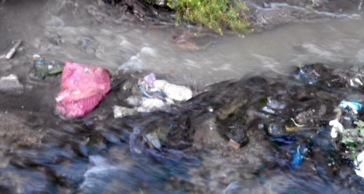 آبیاری با فاضلاب مهمترین مشکل زیست محیطی هرسین/وقتی سبزیجات طعم فاضلاب به خود می گیرند