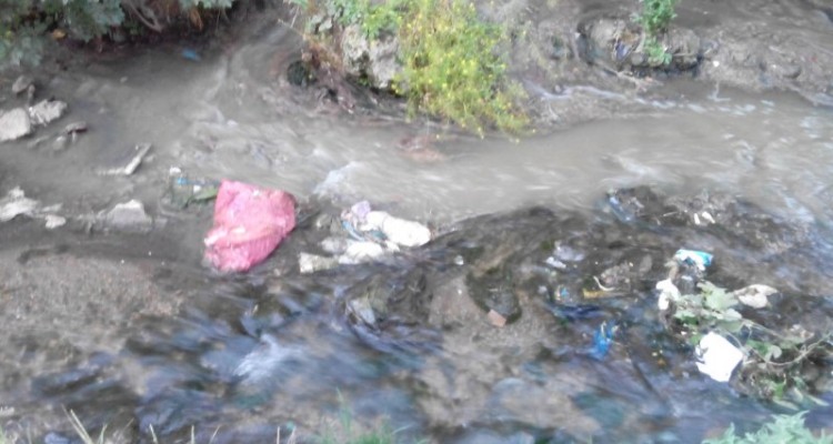 تصاویر تأسفبار از وضعیت آبیاری سبزی کاریهای هرسین با فاضلاب شهری