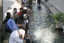 طبیعت سراب هرسین؛ پذیرای روز ه داران در ماه مبارک رمضان