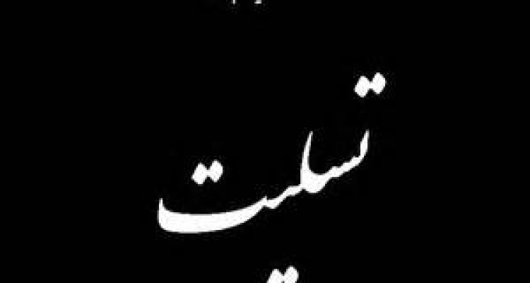 مجمع عالی بسیج شهرستان در پیامی درگذشت برادر حجت الاسلام باقری را تسیلت گفت