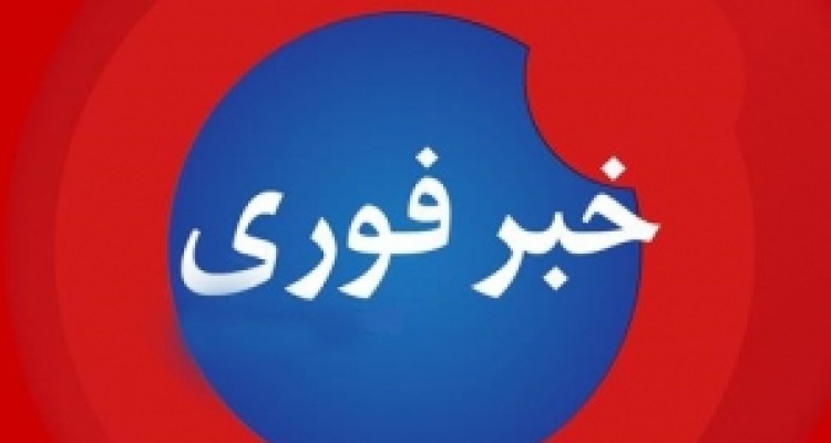 شورای امنیت پیش نویس قطعنامه جمع بندی مذاکرات هسته ای ایران و 5+1 را تصویب کرد