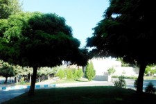 تصاویر زیبا از یک صبح دل انگیز در هرسین