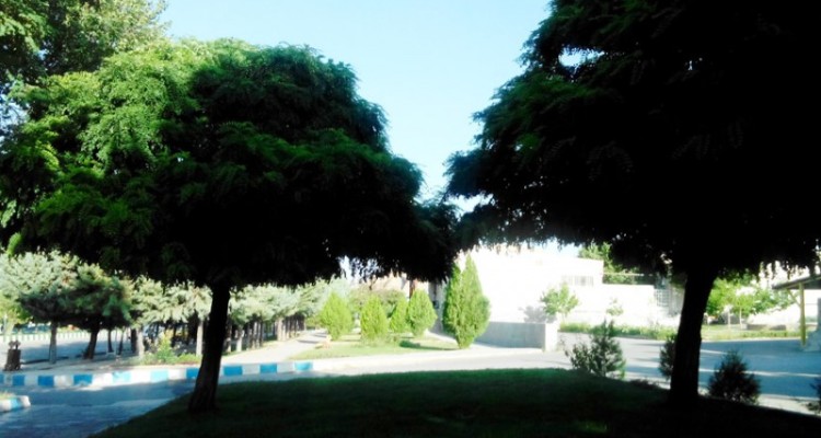 تصاویر زیبا از یک صبح دل انگیز در هرسین