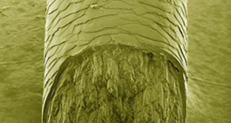 کشف ترکیبی غیرمنتظره در موی انسان 