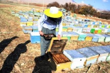 گفتگوی ویژه با یک کارآفرین بسیجی حوزه اقتصاد مقاومتی در هرسین