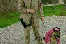 هرگز يك سگ تازي ، سگ گله نمي شود...