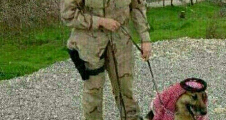 هرگز يك سگ تازي ، سگ گله نمي شود...