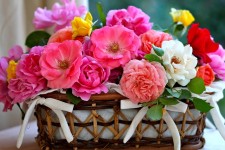 مهربان باشیم!!