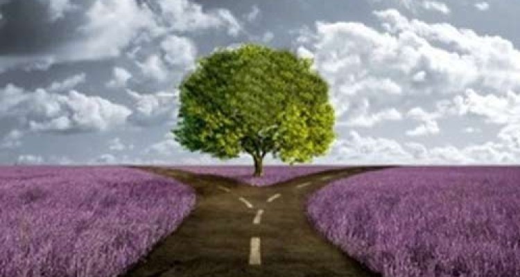 در این مسابقه برنده باشید