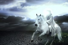 العجل یا مهدی...