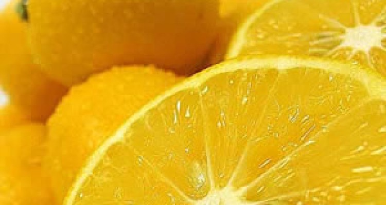 میوه ای که در زمستان معجزه میکند !