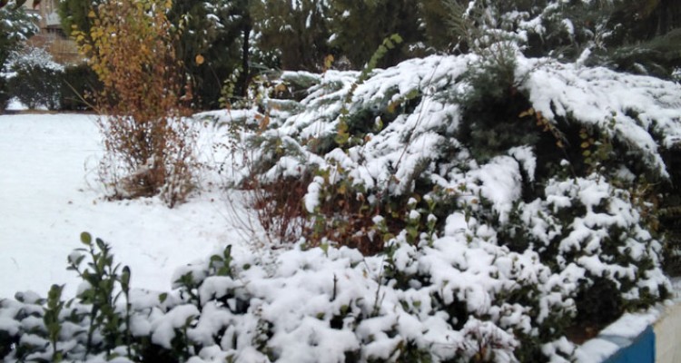 بارش اولین برف پاییزی هرسین را سفید پوش کرد+تصویر