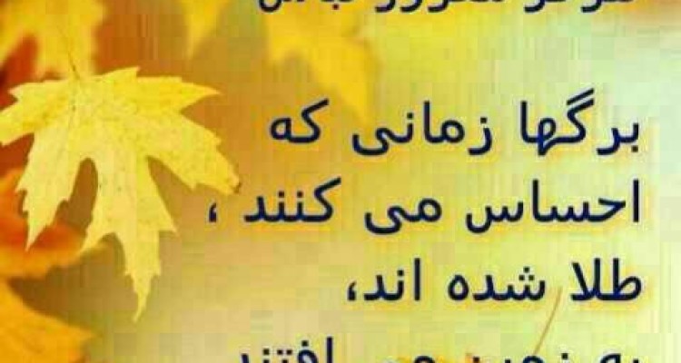 مغرور نباش !