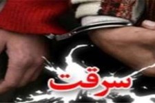  باند سارقان باطری خودرو در هرسین متلاشی شد