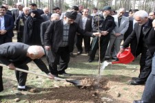 غرس 220اصله نهال به یاد شهدای شهرستان هرسین+تصویر