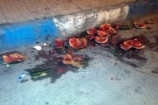 کام تلخ هرسین از بوی تند زباله ها/ خیابان هایی که رنگ و لعاب بی تدبیری گرفته اند