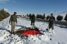 دانه پاشی برای پرندگان توسط اداره محیط زیست در هرسین +تصویر