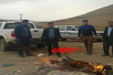 توقیف و معدوم سازی 105کیلوگرم گوشت فاقد مجوز در هرسین/ تشکیل 7 پرونده تعزیراتی برای صنوف متخلف در جریان بازرسی ها
