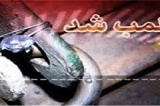 پلمپ 12 واحد صنفي متخلف در هرسين