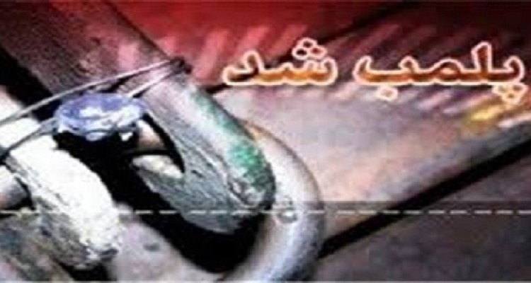 پلمپ 12 واحد صنفي متخلف در هرسين