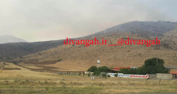 حدود 70 هکتار از مراتع بخش بیستون دچار حریق شد