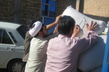 جمع آوری 2تن زکات غلات از روستای نادرآباد بخش بیستون