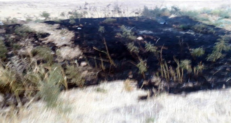 آتش به جان باغات روستای چغاکبود هرسین  افتاد