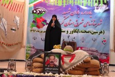 یادواره بانوان شهید شرق استان در هرسین برگزار شد+تصویر
