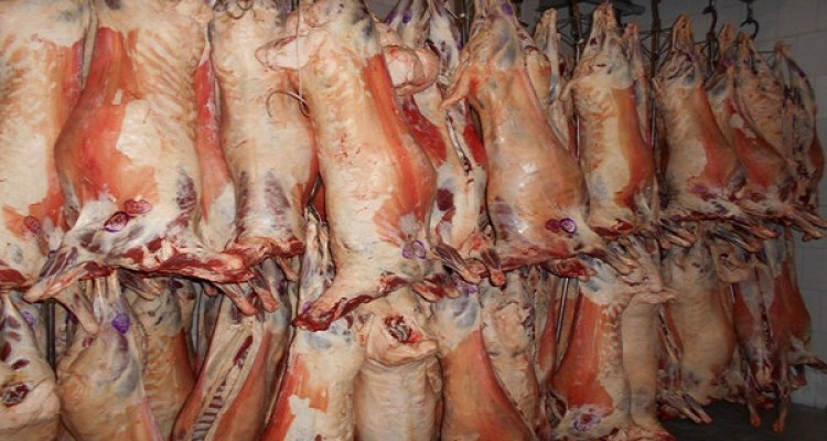 کشف 7 لاشه گوشت قرمز کشتار غیر مجاز و پلمپ قصابی در هرسین