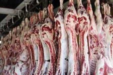 کشف و معدوم‌سازی 11 لاشه کشتار غیرمجاز در هرسین