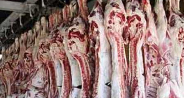 کشف و معدوم‌سازی 11 لاشه کشتار غیرمجاز در هرسین