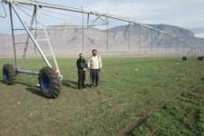 توسعه طرح های آبیاری تحت فشار درسطح  1609 هکتار از مزارع شهرستان هرسین