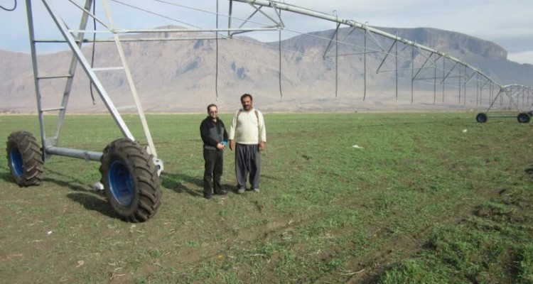 توسعه طرح های آبیاری تحت فشار درسطح  1609 هکتار از مزارع شهرستان هرسین