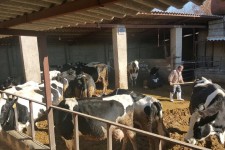 معرفی ۳۰ دامدار به معاونت برنامه ریزی و اقتصادی سازمان جهت دریافت تسهیلات 