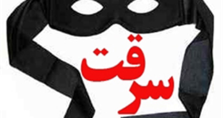 کاهش 29 درصدی آمار سرقت در هرسین