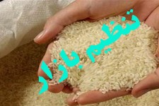 توزیع 37تن انواع برنج جهت تنظیم قیمت ها در هرسین