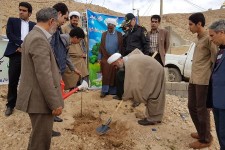 مراسم روز درختکاری در هرسین برگزار شد