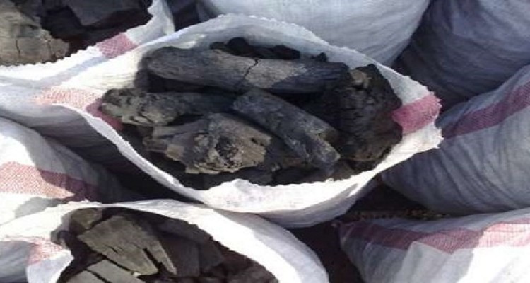 کشف سه تن ذغال بلوط در هرسین 