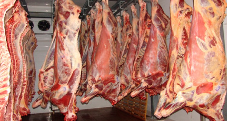 ضبط بیش از 200 کیلوگرم گوشت کشتار غیرمجاز  در هرسین