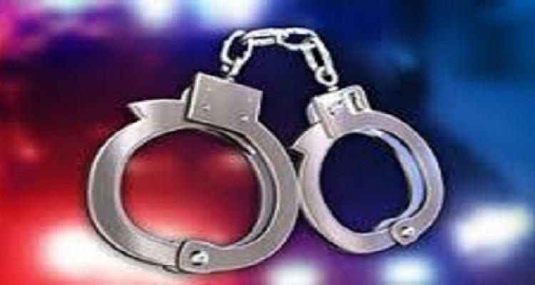 دستگیری سارق احشام در هرسین 