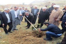  کاشت  ۱۰۰۰ اصله نهال در محل مجتمع ذوب آهن بیستون