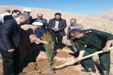 مزار شهدای گمنام هرسین درختکاری شد