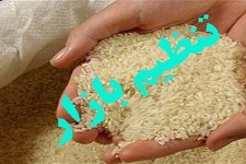 توزیع 46تن برنج تنظیم بازار در هرسین
