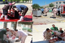 ذبح سه رأس گاو توسط خیرین در هرسین