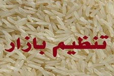 توزیع ۴۰تن برنج تنظیم بازار در سی نقطه شهرستان 