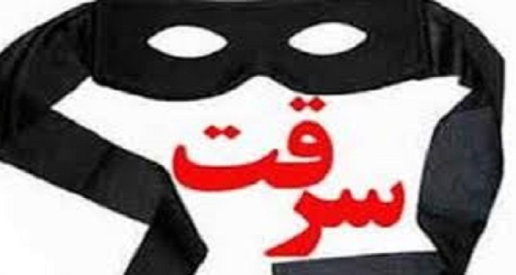 سارقان تجهیزات مخابراتی در دام پلیس هرسین