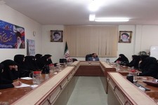 شاه آبادی: فعالیت های اجتماعی ، اقتصادی و فرهنگی زنان در قالب سمن ها رسمیت پیدا خواهد کرد