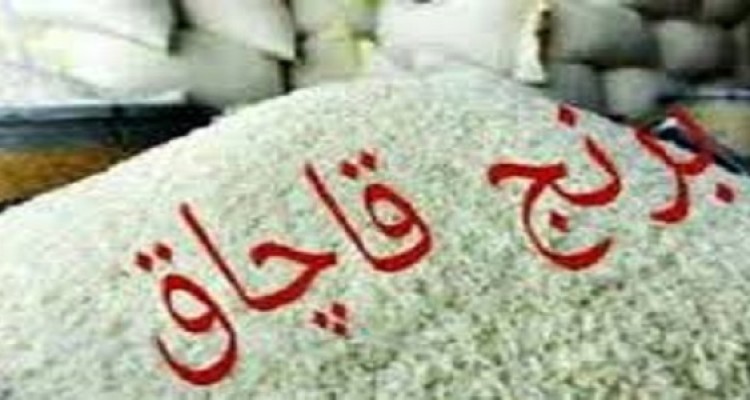 بیش از یک تن برنج قاچاق در هرسین کشف شد  